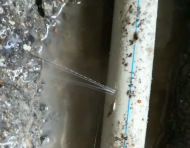 白碱滩测漏水哪家好