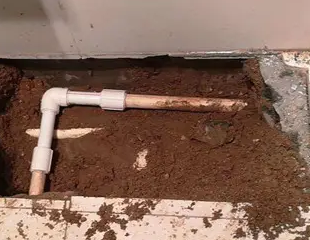 白碱滩测漏水哪家好