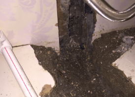 白碱滩卫生间测漏水哪家好