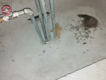 白碱滩卫生间测漏水价格明细