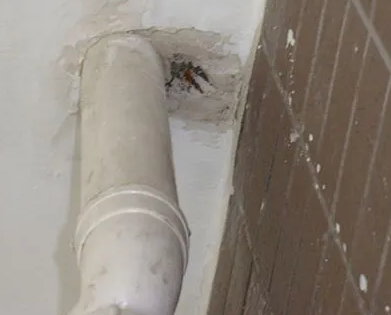 白碱滩漏水检测哪家好